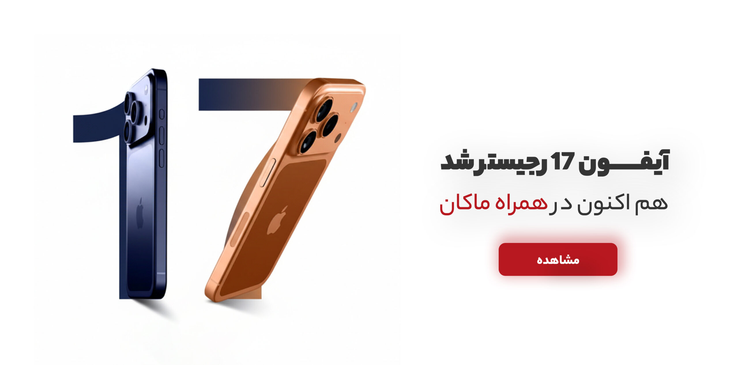 neeeds 1 copyغ copy